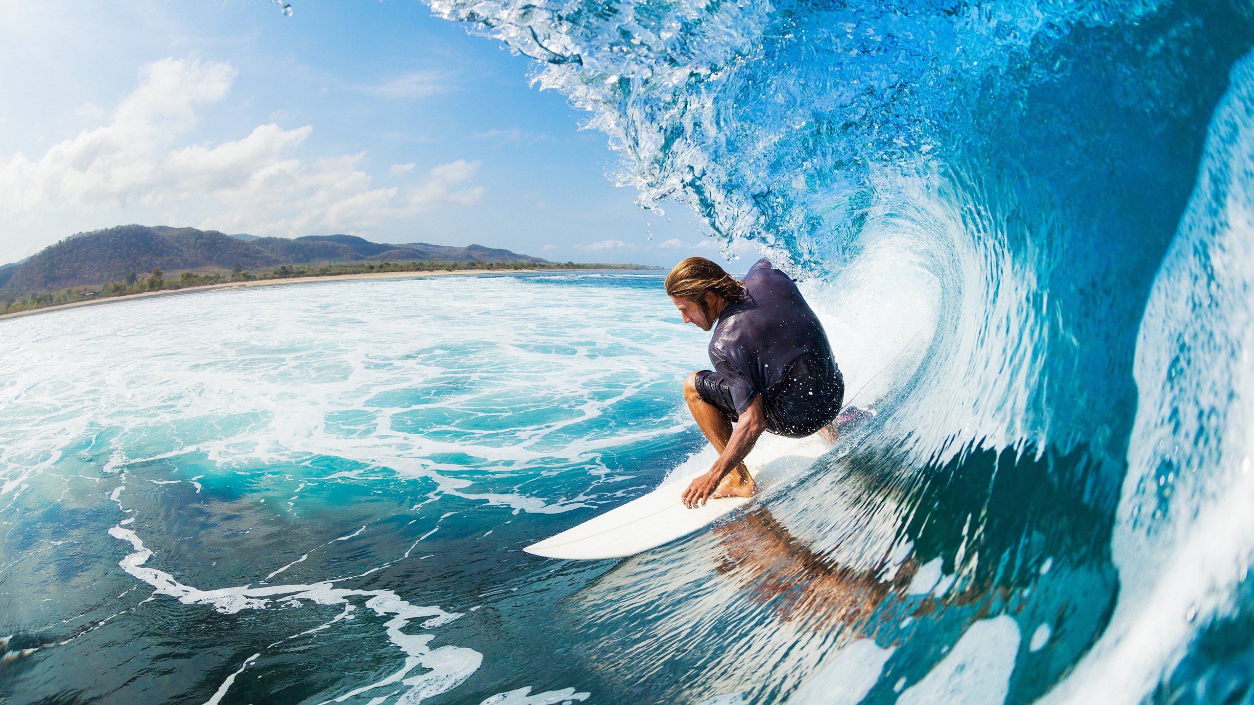 新西兰男子橄榄球队的年轻力量逐渐崭露头角，新西兰橄榄球队徽